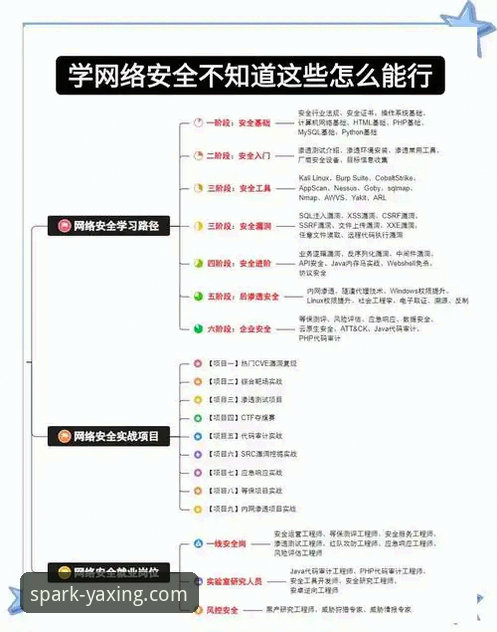 亚星APP登录实用指南：老用户分享高效访问与安全操作心得